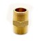 Thrifco Plumbing 1/8 Brass Hex Nipple 5320120 - alternate 1